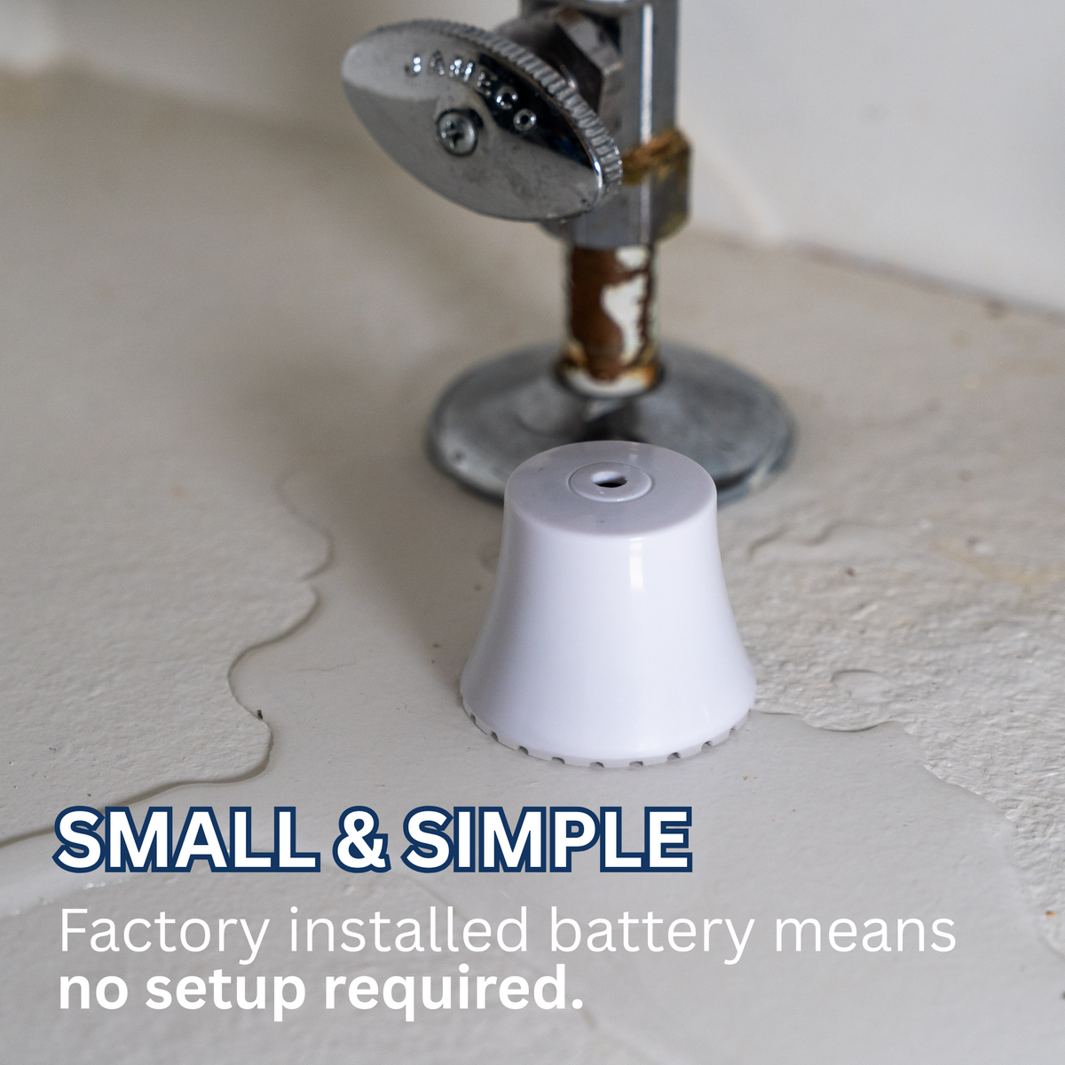 Flood Buzz® Small Multi-Purpose Water Leak Alarm - 6 & 12 Packs