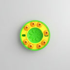 NeuroPlate Interactive Puzzle Feeder